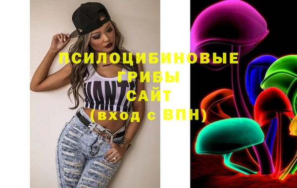 мдпв Беломорск