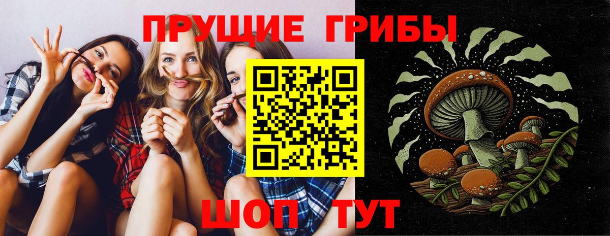 Богородицк  наркотики  Вход с VPN  Галлюциногенные грибы ЛСД 