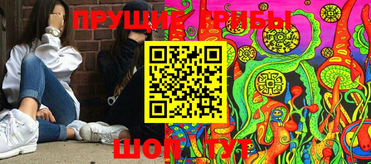 Галлюциногенные грибы Psilocybe Богородицк